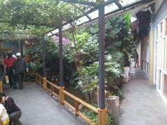 android_upload_pic-阳光闲庭云南菜(金实店)