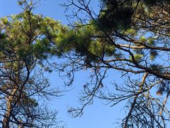 -长春市南湖公园