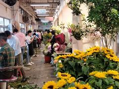 -双季花艺园艺市场(浦东店)