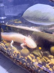 -Zoolung Zoolung动物主题公园(海信广场店)