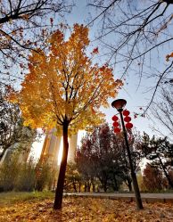 -大望京儿童游乐场