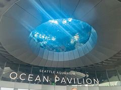 -西雅图水族馆