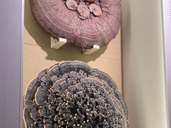-北京中医药大学-中医药博物馆