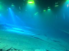 -白鹤梁水下博物馆