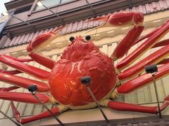 -蟹道乐(道顿堀本店)