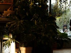 -自由生长植物工作室(深港花卉中心店)