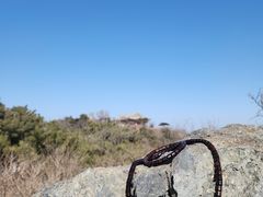 -香山公园