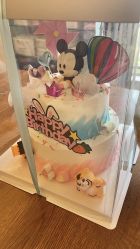 点击看大图 -莲芯花月子会所