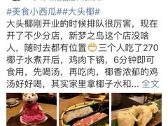 -大头椰·椰子鸡火锅(新梦店)