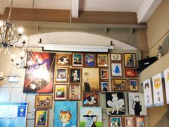 -猫咪博物馆(顶澳仔猫街店)