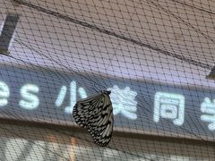-LuOne凯德晶萃广场(徐家汇路店)