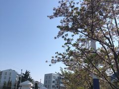 -永乐路-路侧停车场