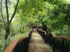 -天鹿湖森林公园