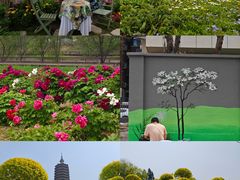 -西海子公园
