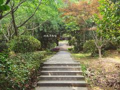 -九龙潭景区