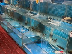 -胖姐渔村(中源大道店)