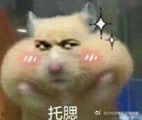 -DEKA大咔摄影·企业形象照·商务形象照拍摄(番禺南村万博店)