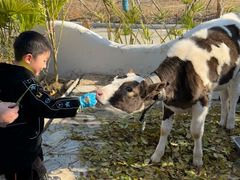 -HERRE·FARM 赫尔露营农场·团建聚会包场