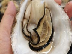 -蚝美人·生蚝海鲜烧烤(茶花园店)