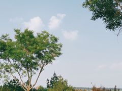 -泰山天颐湖旅游度假区