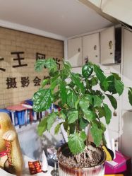 -女王风尚STUDIO·轻奢化定制