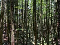 -山王坪喀斯特国家生态公园