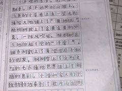-学知乐教育·幼小衔接·小学科辅导(嘉定镇校区)