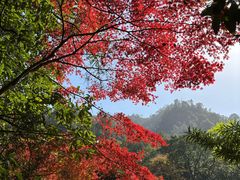 -大慈岩风景区