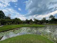 -中国科学院西双版纳热带植物园