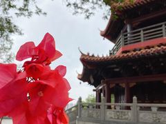 -红花山公园