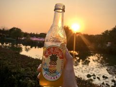 -大塘金香草谷