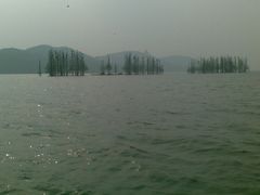 -东湖落雁景区