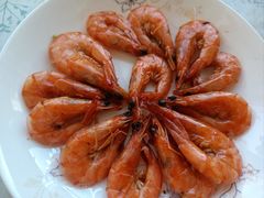 -天鹅到家·保姆月嫂育儿嫂(总店)