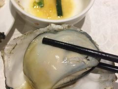 -大富蚝乌东哥饭店·石锅鱼杂·柠檬鸭(革新路店)