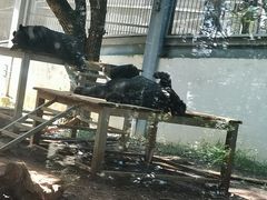-昆明动物园