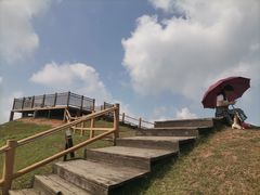 -天龙顶山地公园