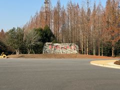 -东平国家森林公园