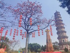 -广州莲花山旅游区