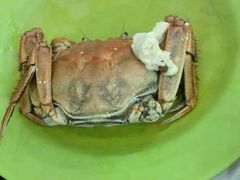 河蟹（公）-天津乾毓德饭庄·清真传统炒菜·海鲜烧烤(咸阳路店)