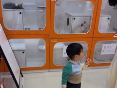 -三花喵·撸猫购宠·宠物生活馆(虹桥南丰城店)