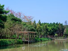 -大湾区中央湿地公园