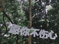 -杭州植物园