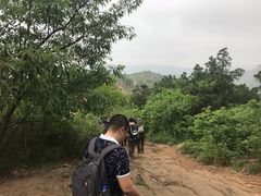 -灵岩山风景区
