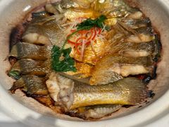 大黄鱼-融和里(华润·二十四城店)