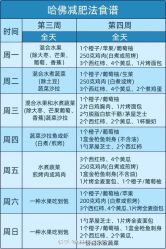 -Fundi张玉珊修身堂·indiba·BTL科技瘦身