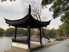 -月湖公园