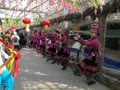 -北京呀路古热带植物园