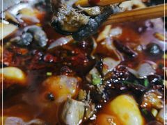 -黑竹香鸡(营和巷店)