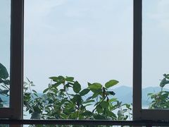 -望湖烤鱼