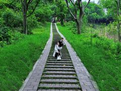 -青龙山国家森林公园